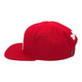 Los Angeles Dodgers Pro Standard Red Basic With Mexican Flag Patch Adjustable Snapback Hat