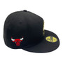 Chicago Bulls New Era All Black Team Color With Metal State Gold Badge 59FIFTY Fitted Hat