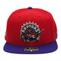 Toronto Raptors Mitchell & Ness Red/Purple With 1995-96 Inaugural Season Patch Fitted Hat