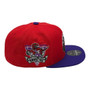 Toronto Raptors Mitchell & Ness Red/Purple With 1995-96 Inaugural Season Patch Fitted Hat
