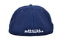 Seattle Seahawks New Era All Navy Alternate Team Logo 59FIFTY Fitted Hat