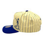 Seattle Mariners Mitchell & Ness Pinstripe Chrome White/Royal Blue A-Frame Adjustable Snapback Hat