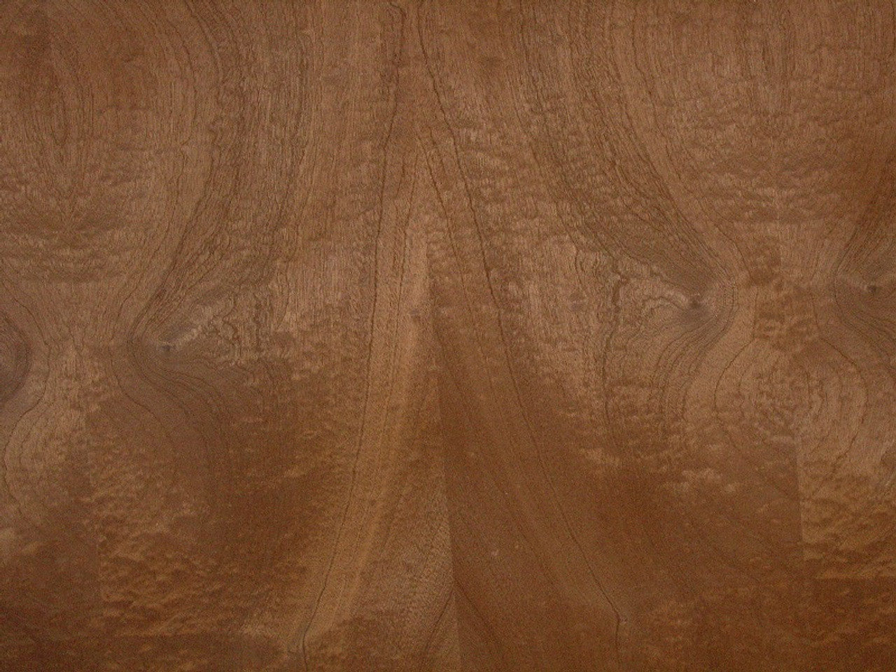 MADRONE BURL VENEER