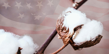 Premium USA Made T-Shirts for Men
