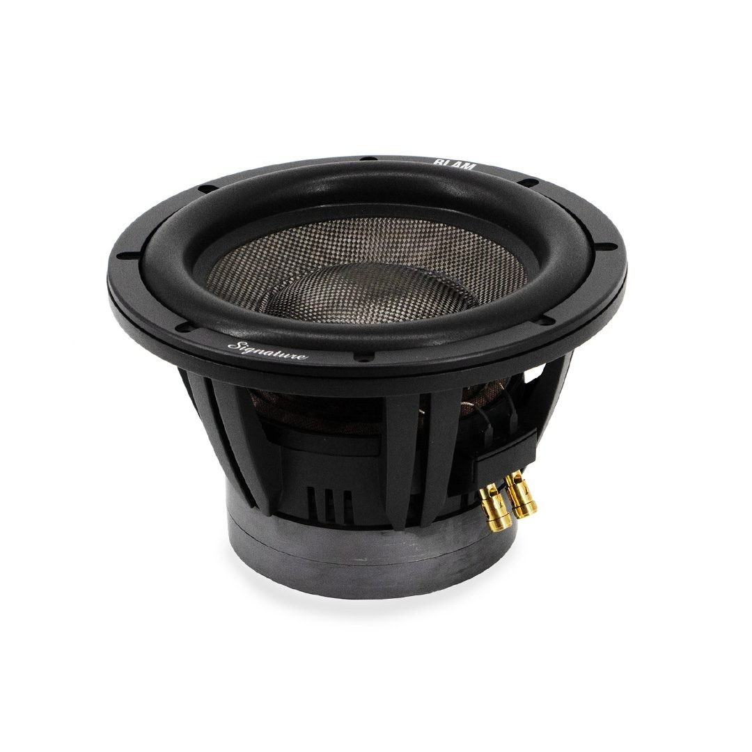 BLAM SuperSub 10 250mm subwoofer
