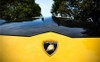 2018-2024 Lamborghini URUS TC Style Hood Bonnet
