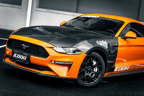 Carbon fiber fenders for mustang 2015-2019