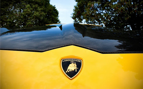 2018-2024 Lamborghini URUS TC Style Hood Bonnet 2018-2024 Lamborghini URUS TC Style Hood Bonnet