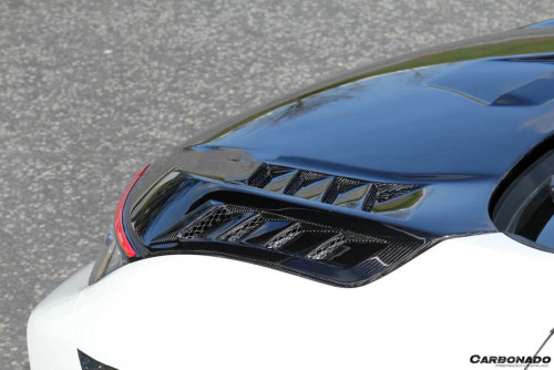 2015-2021 Honda Civic Type R FK8 M Style Autoclave Double Carbon Fiber Hood