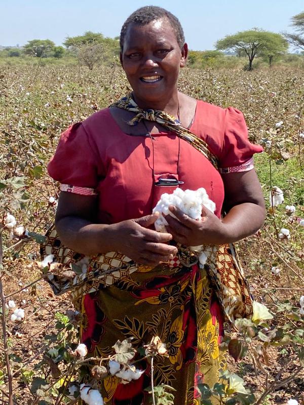 Kija harvesting organic cotton for Maggie's Organics in Tanzania.