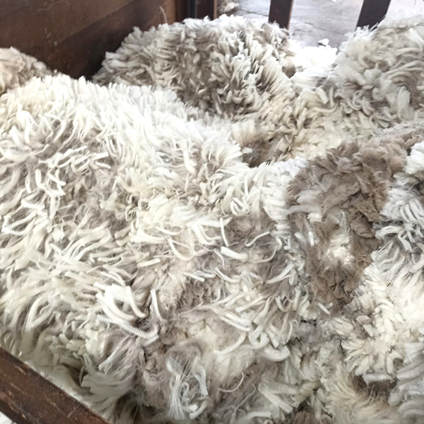 Processing wool into finished socks is a long detailed process.