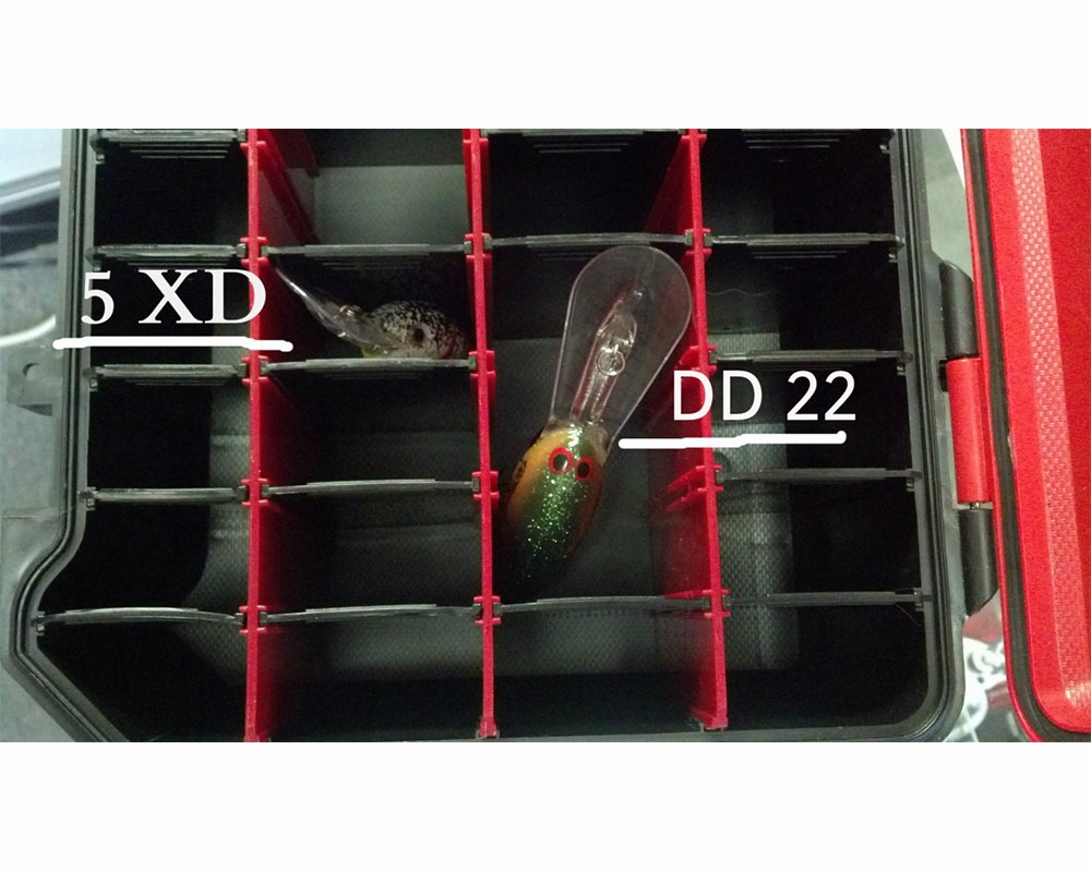 Bass Mafia 3700DD Bait Coffin Deep