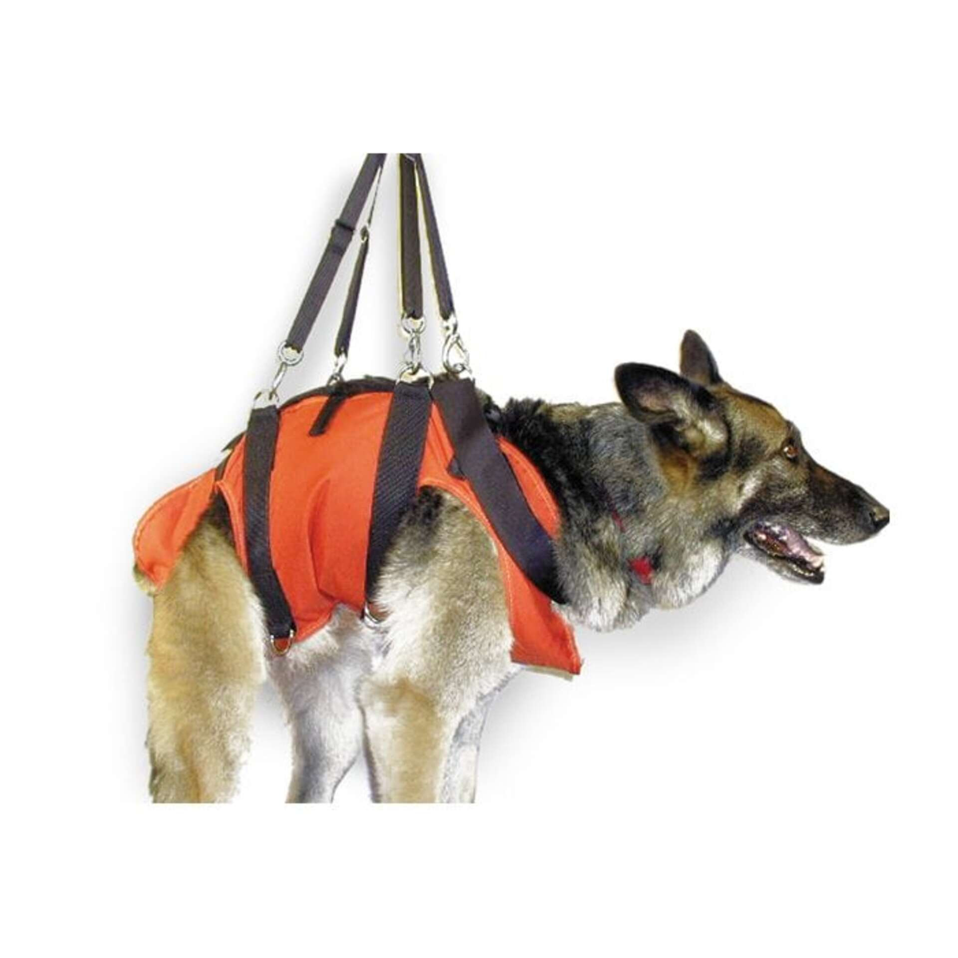 Rescue Dog Dog Harness To Lift Dog GingerLead Dog Support Sling