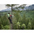 Product thumbnail view 7