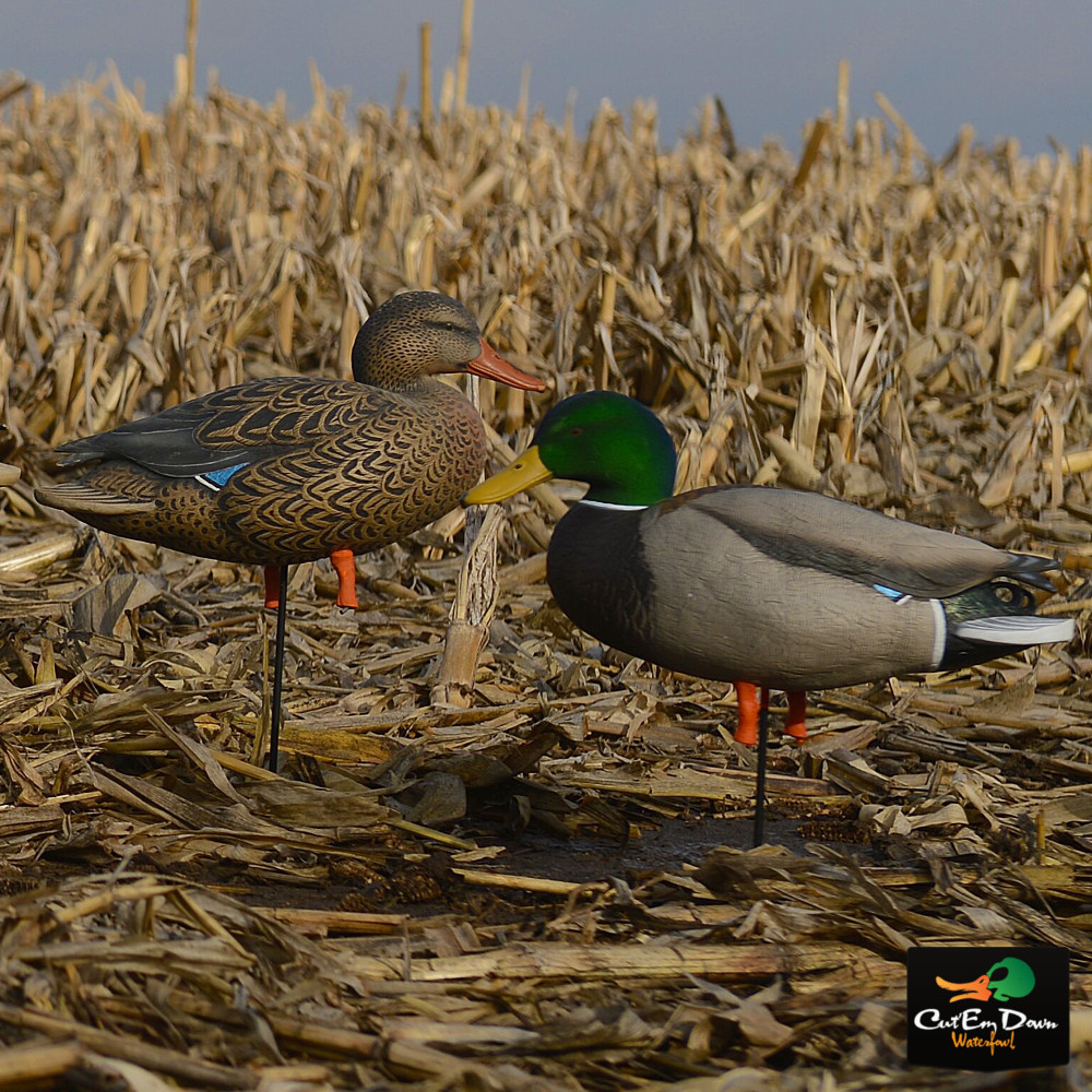 GHG Full Body Mallards - Harvester Pack w/ Flocked Heads