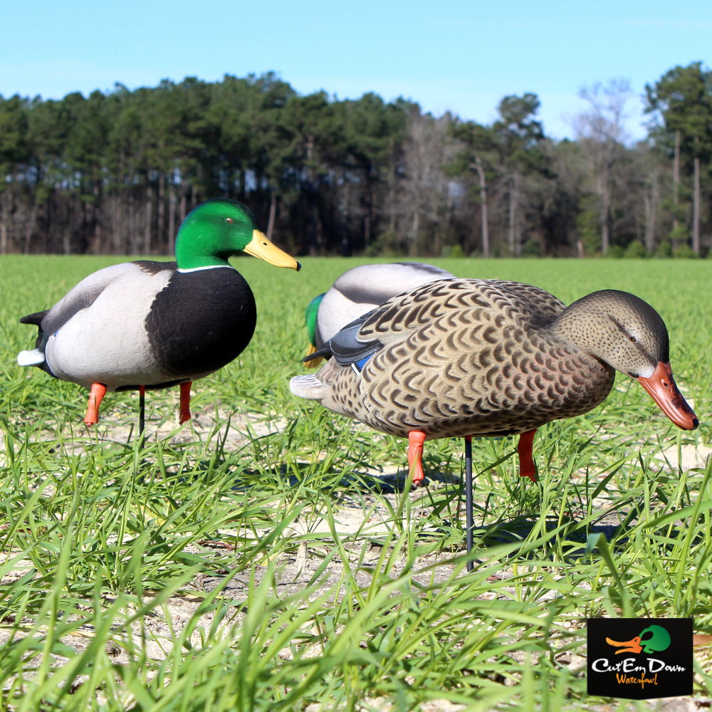 Avery Outdoors GHG FFD Elite Mallards - Thumbnail 2