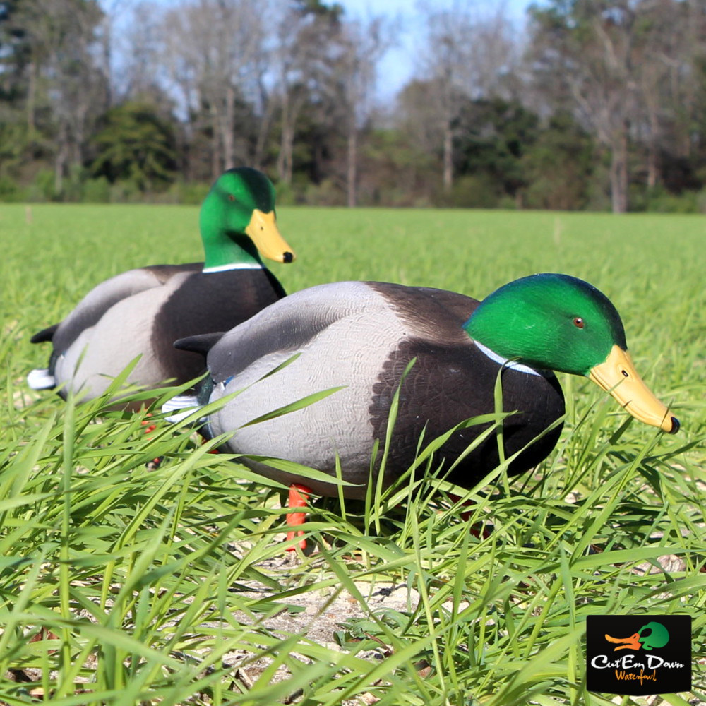 Avery Outdoors GHG FFD Elite Mallards - Thumbnail 5