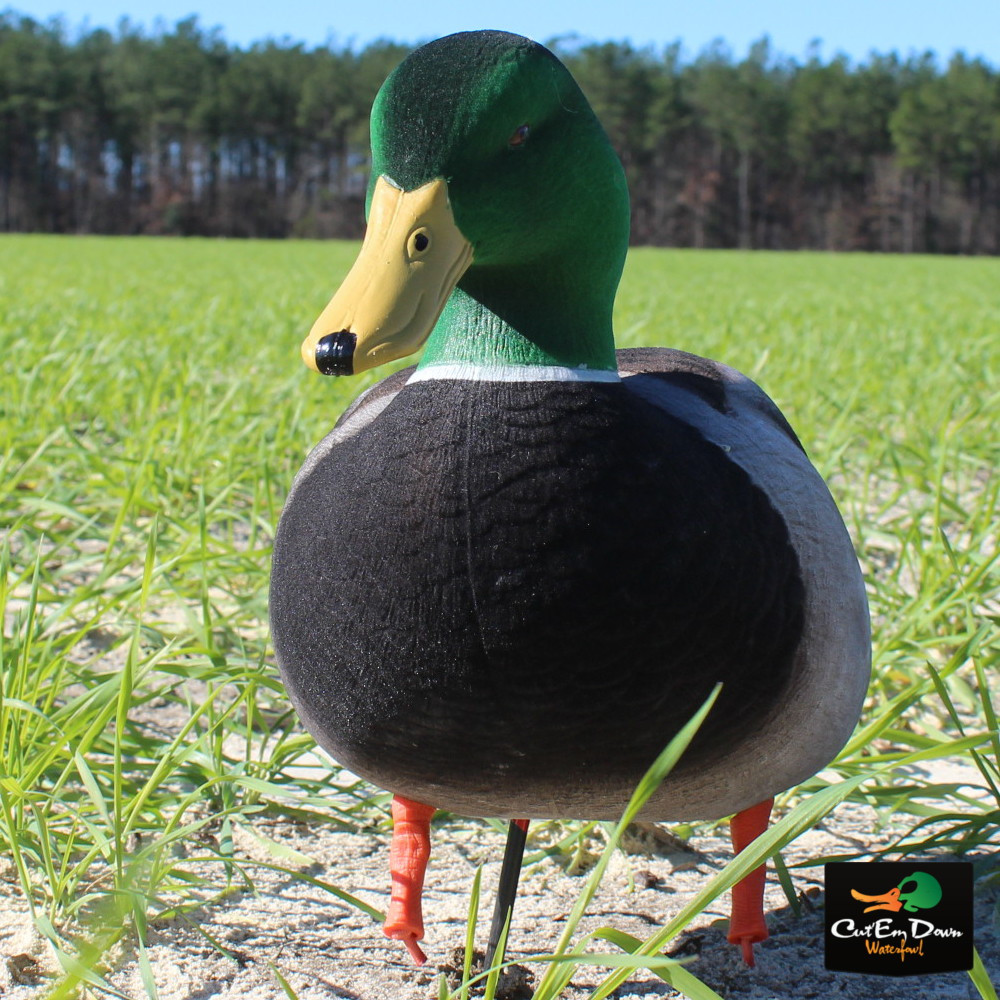 Avery Outdoors GHG FFD Elite Mallards - Thumbnail 3