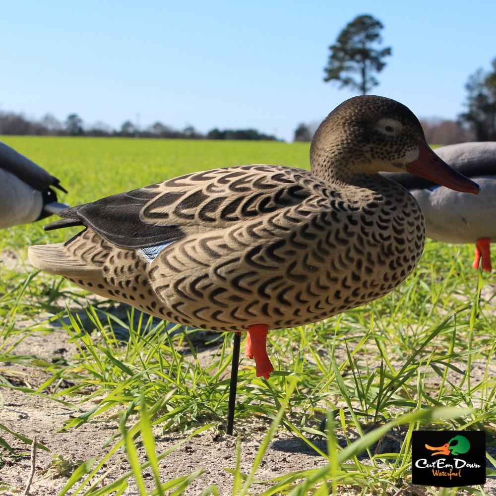 Avery Outdoors GHG FFD Elite Mallards