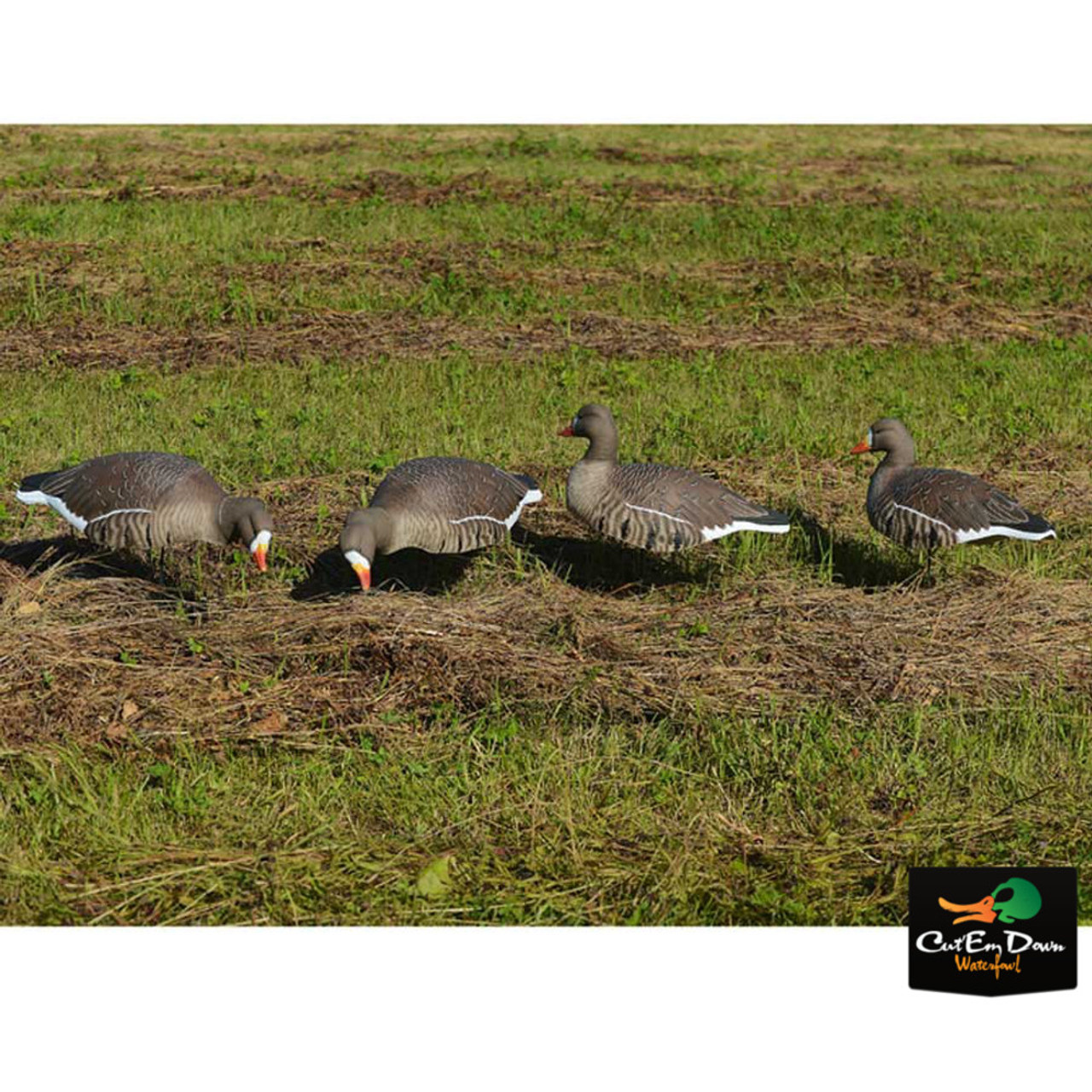 Prairiewind Decoys. **SALE** Camo MegaBottle (AV96049) By Avery Outdoors  Greenhead Gear GHG