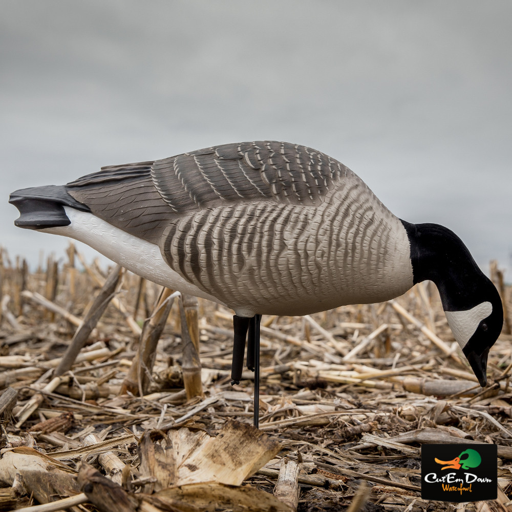 Greenhead Gear Hunter Series Canada Goose Decoys - Thumbnail 3
