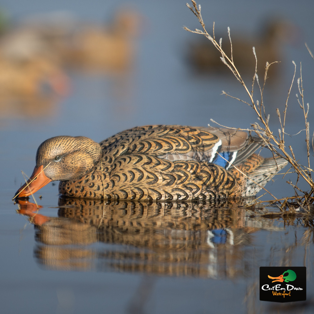 Avery Outdoors Pro Grade XD Series Mallards