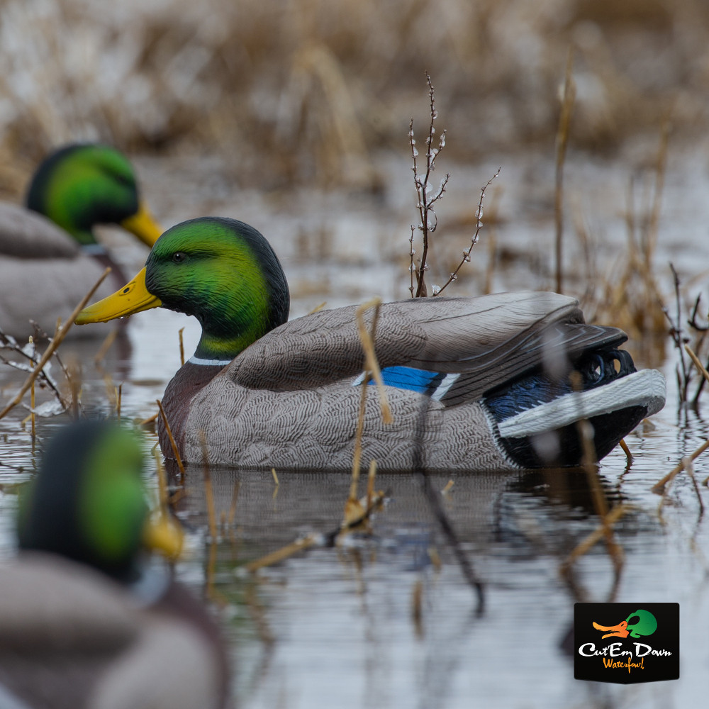 Avery Outdoors Pro Grade XD Series Mallards - Thumbnail 3