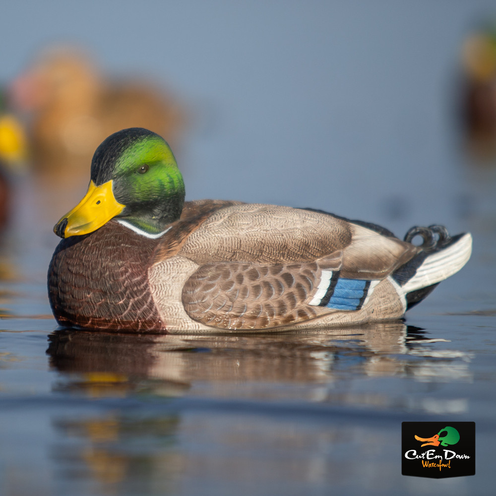 Avery Outdoors Inc Pro-Grade XD Series Mallards