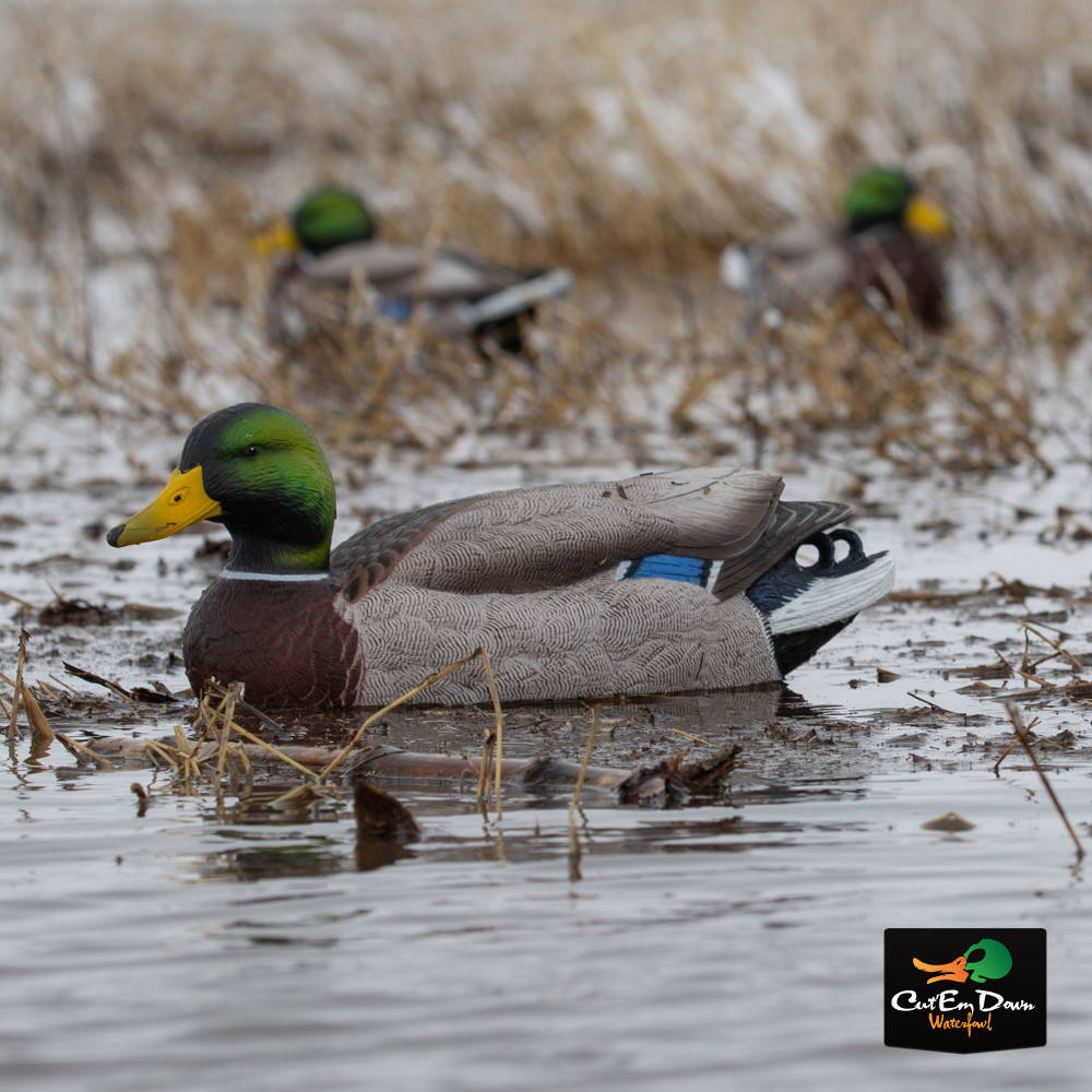 Avery Outdoors Pro-Grade XD Series Mallards - Thumbnail 4