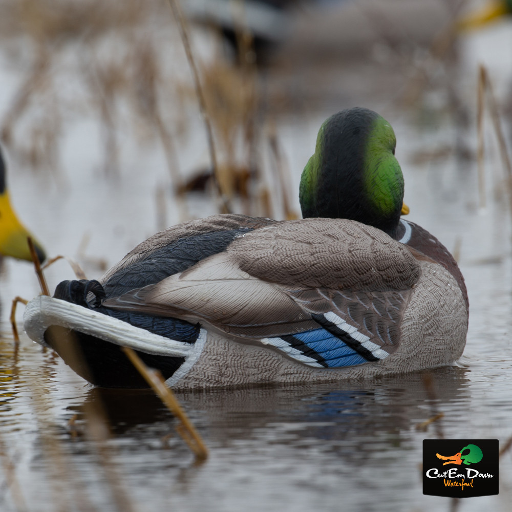 Avery Outdoors Pro-Grade XD Series Mallards - Thumbnail 3