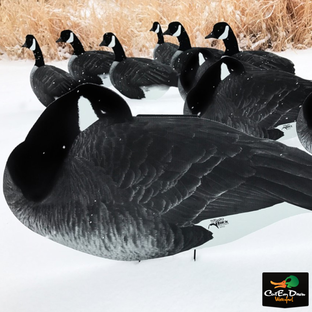 White Rock Flocked Head Silhouettes Sleeper Goose Decoys Dozen