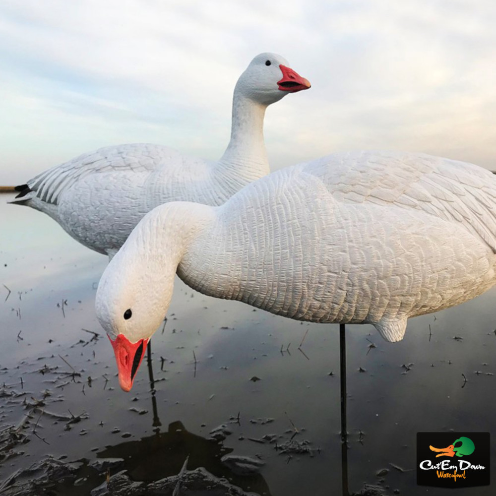 White Rock Snow Goose EVAC Decoys - Thumbnail 2