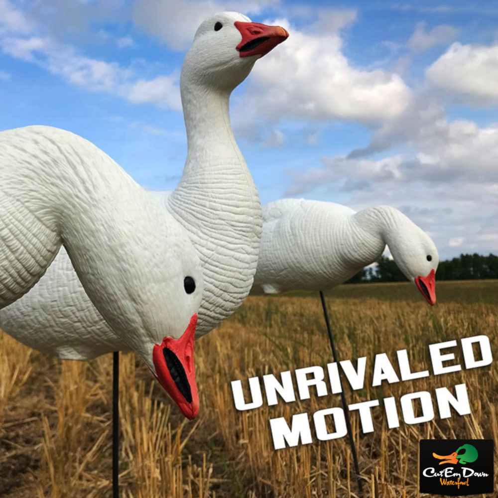 White Rock Snow Goose EVAC Decoys - Thumbnail 4