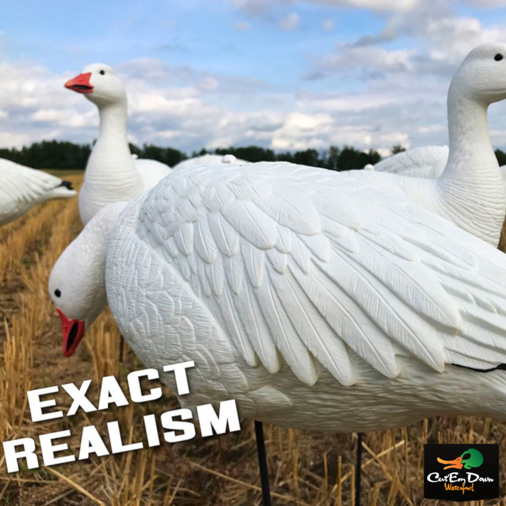 White Rock Snow Goose EVAC Decoys - Thumbnail 5