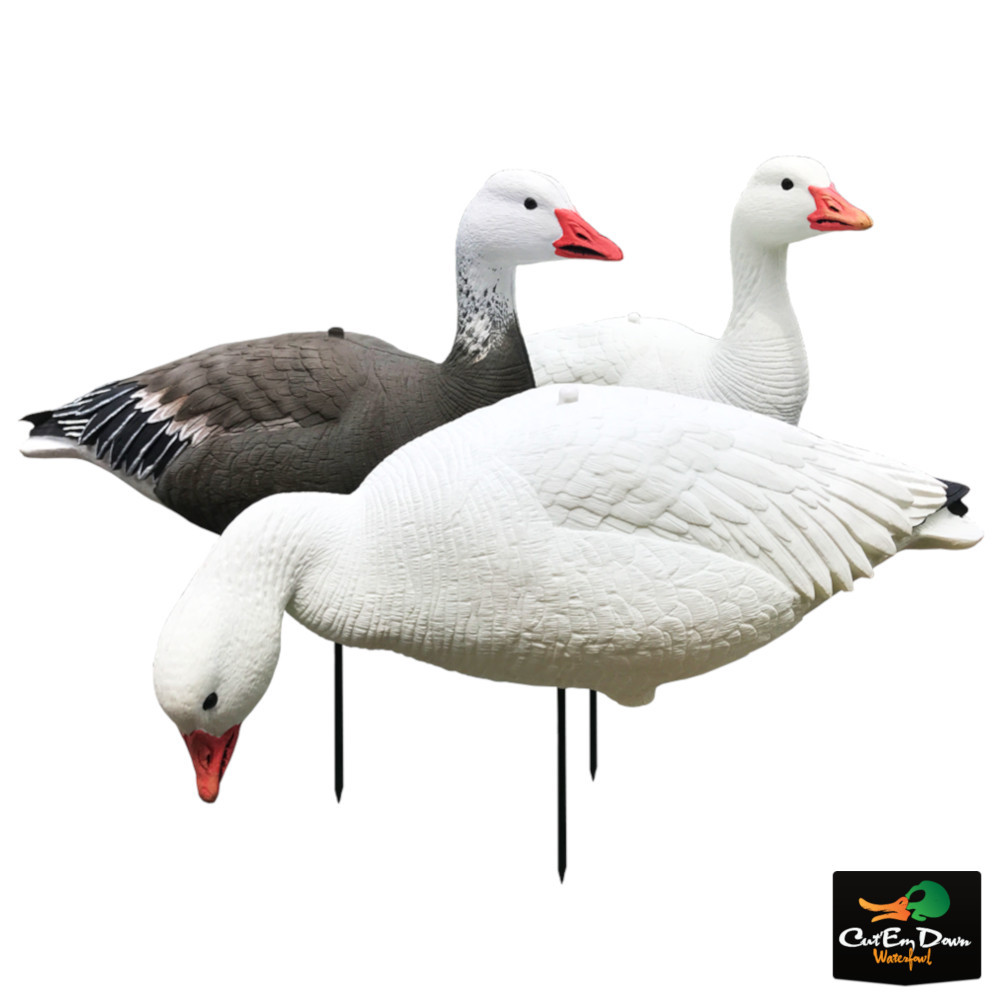 White Rock Snow Goose EVAC Decoys