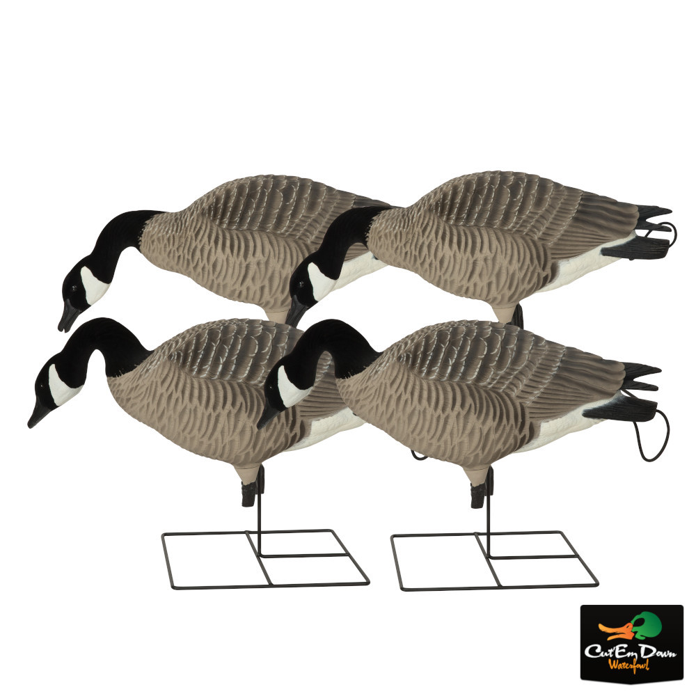 Avery Outdoors Pro Grade XD Canada Goose Full Body Decoys