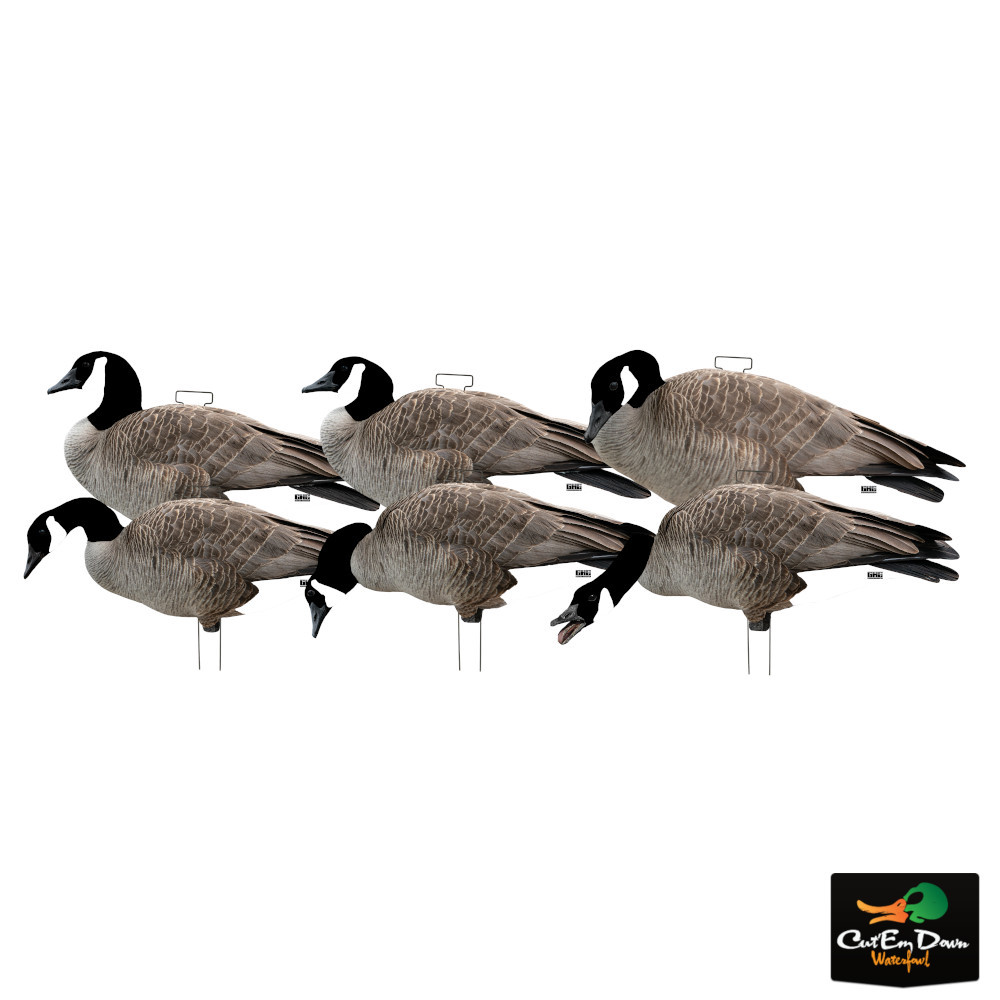 Avery Outdoors GHG Pro Grade Canada Goose Silhouette Decoys