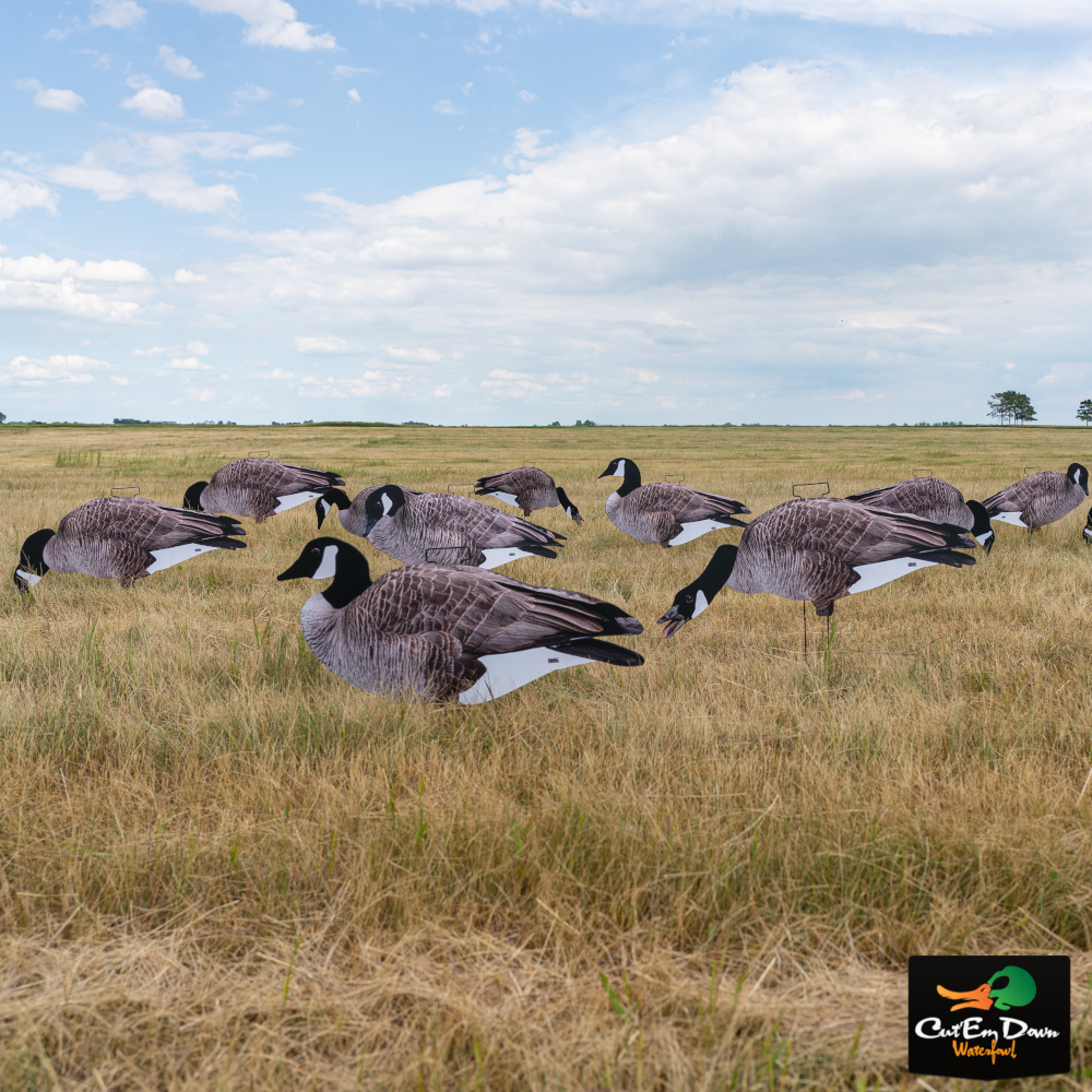 Avery Outdoors GHG Pro Grade Canada Goose Silhouette Decoys - Thumbnail 2