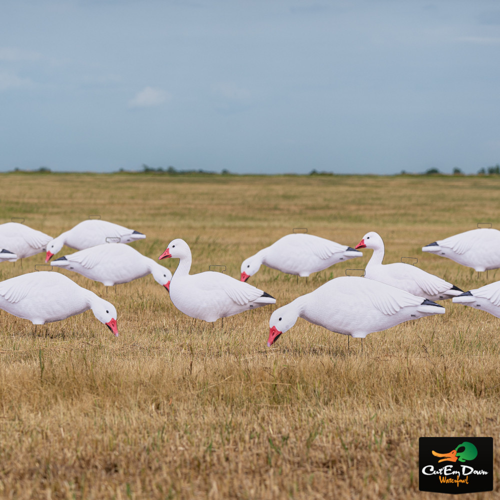 Avery Outdoors Snow Goose Silhouette Decoys