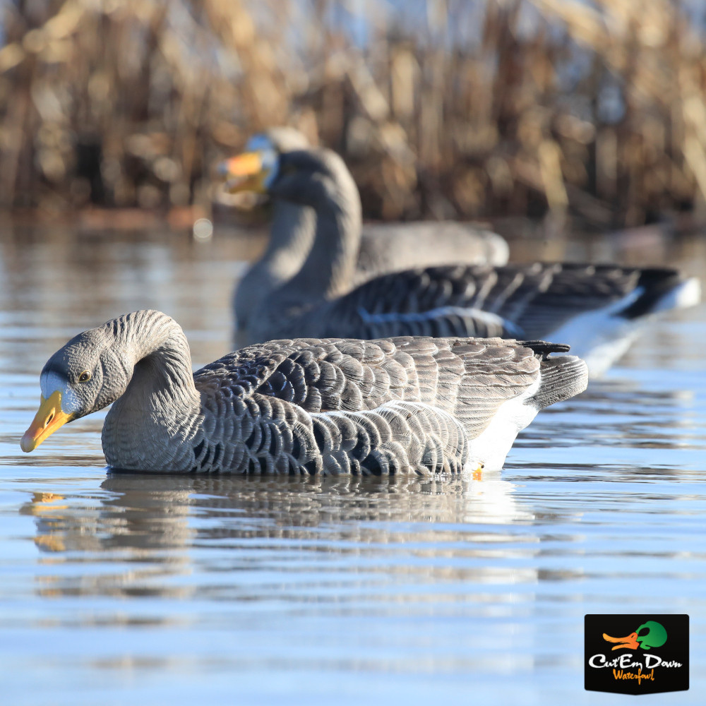 Avery Outdoors Pro-Grade XD Series Goose Decoys - Thumbnail 2
