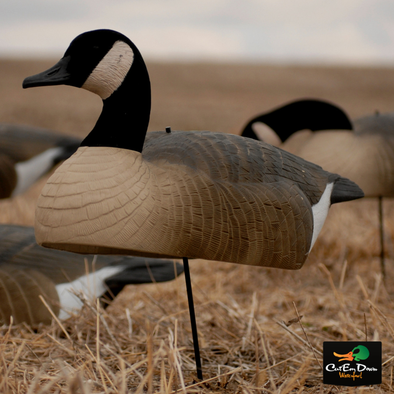 Ghg goose shells clearance