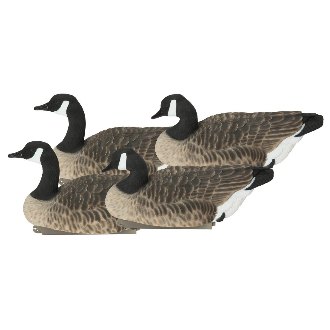 Avery Outdoors Pro Grade XD Canada Goose Floater Decoys