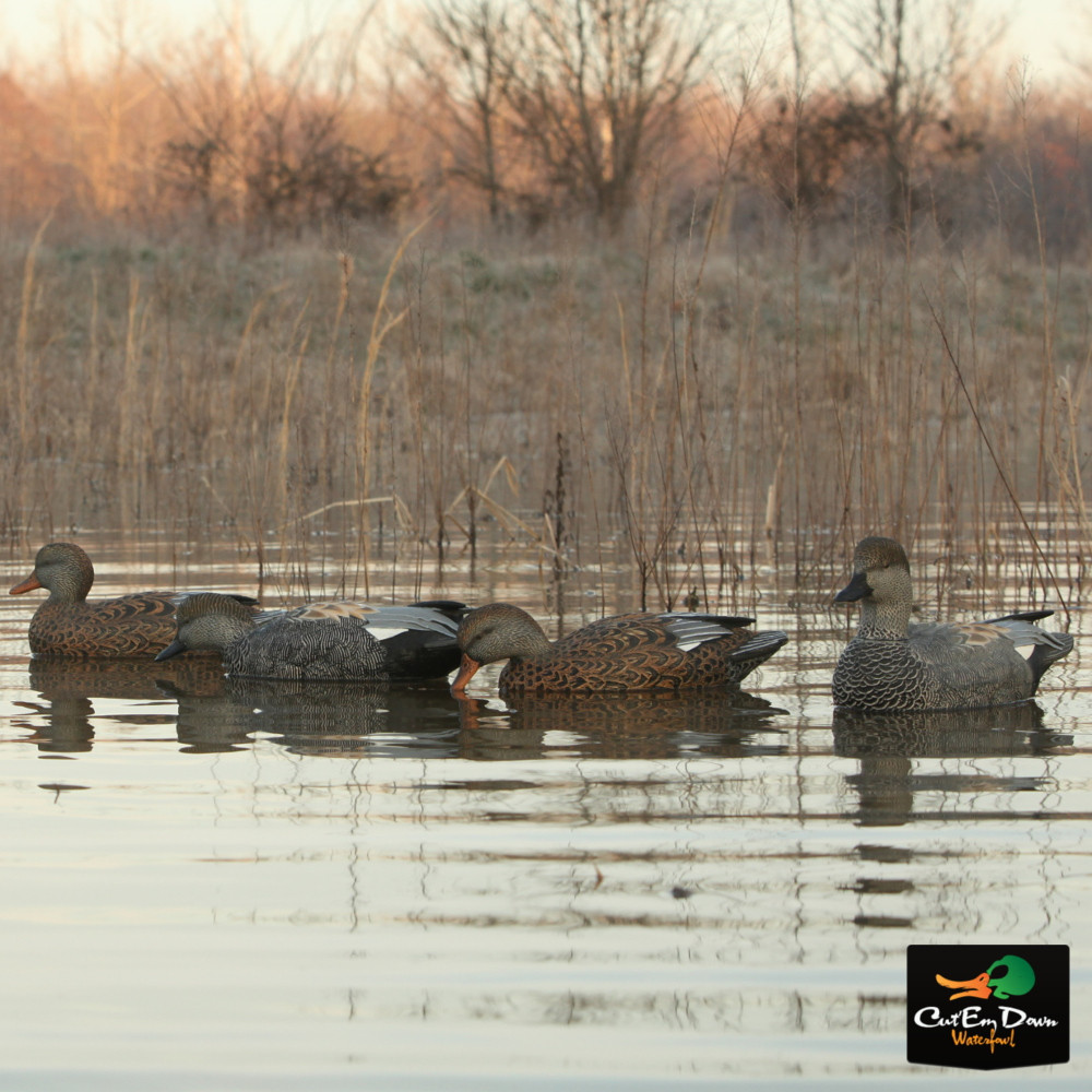 Avery Outdoors Gadwall Duck Decoys - Thumbnail 5