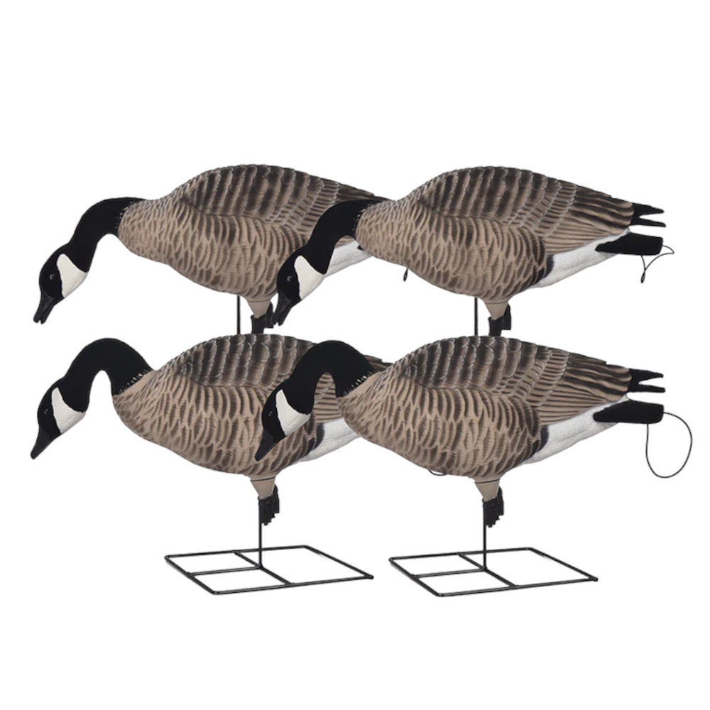 XD FFD Full Body Canada Goose Decoys - Feeder Pack