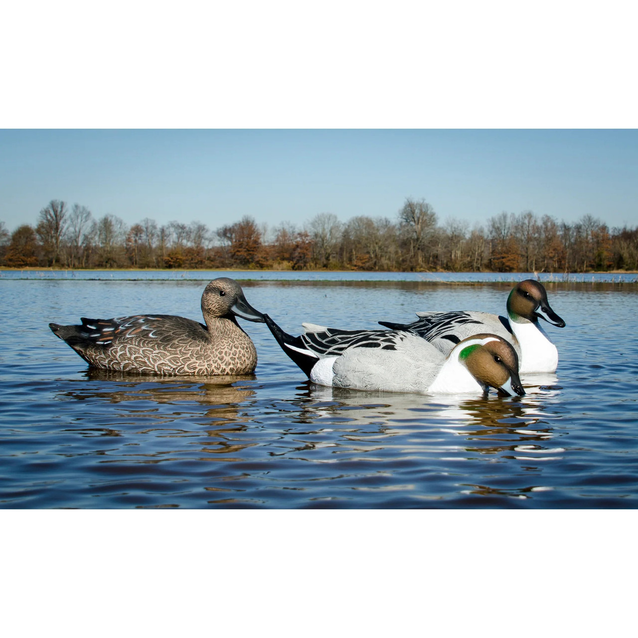 Battleship Pintail Decoys
