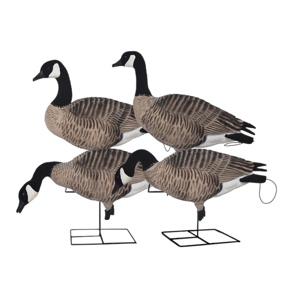 GHG XD FFD Canada Goose Decoys