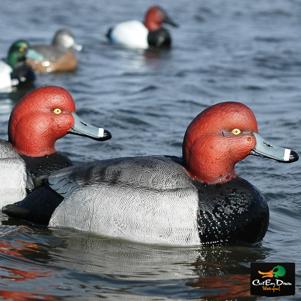 Avery Outdoors Ghg Over-size Redhead Duck Decoys - 1/2 Dozen
