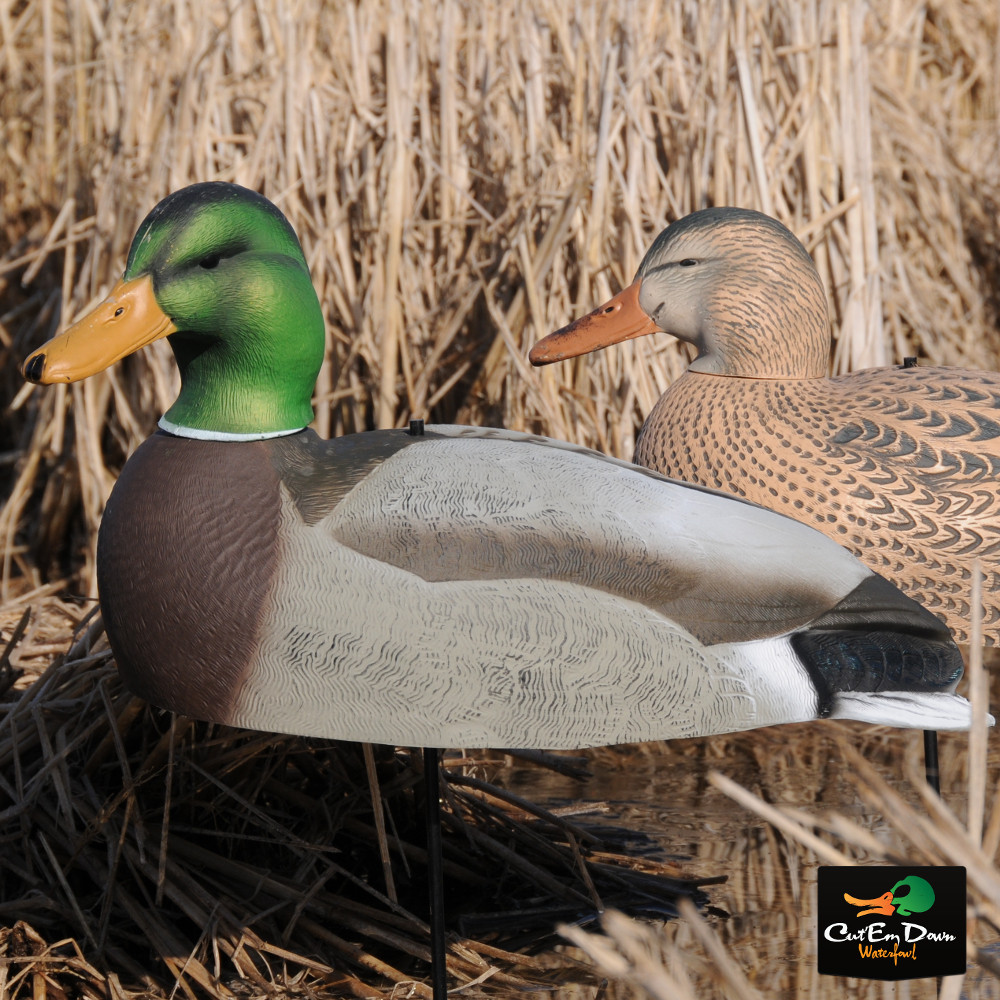 Avery Greenhead Gear Mallard Shells - Thumbnail 3
