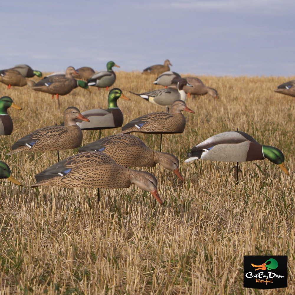 Avery Greenhead Gear Mallard Shells