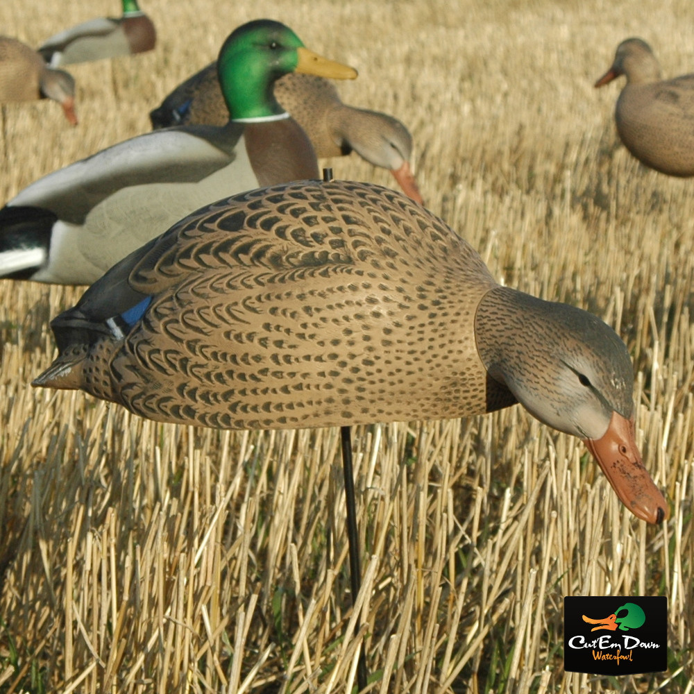 Avery Greenhead Gear Mallard Shells - Thumbnail 4